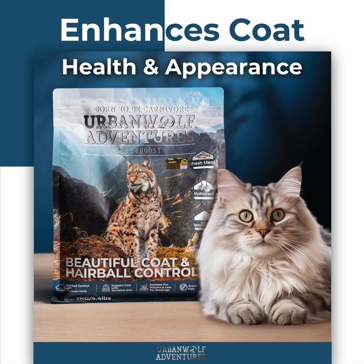 beautiful coat