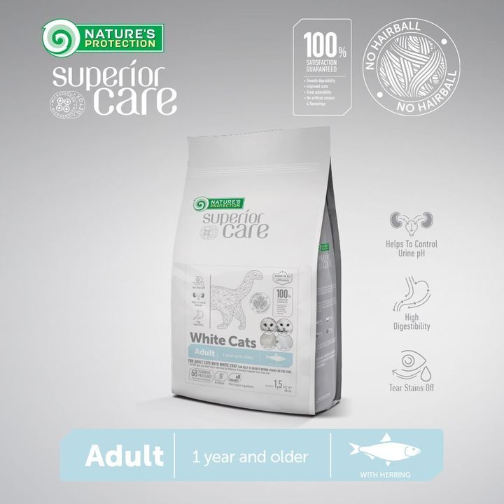 superioir white cat 2