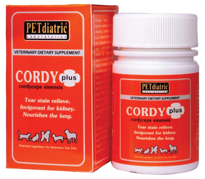 cordy-plus