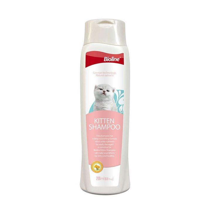 kitten shampoo