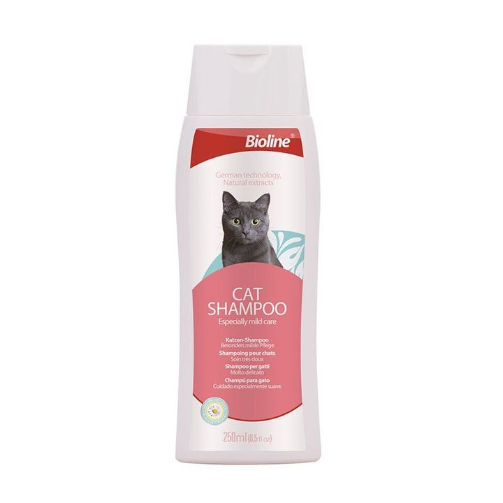 cat shampoo