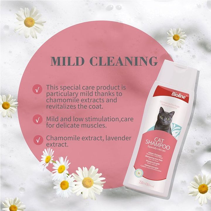 cat shampoo 1