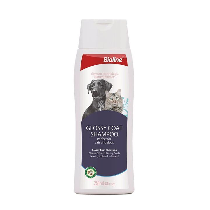 glossy coat