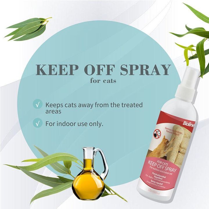 keep off spray 2