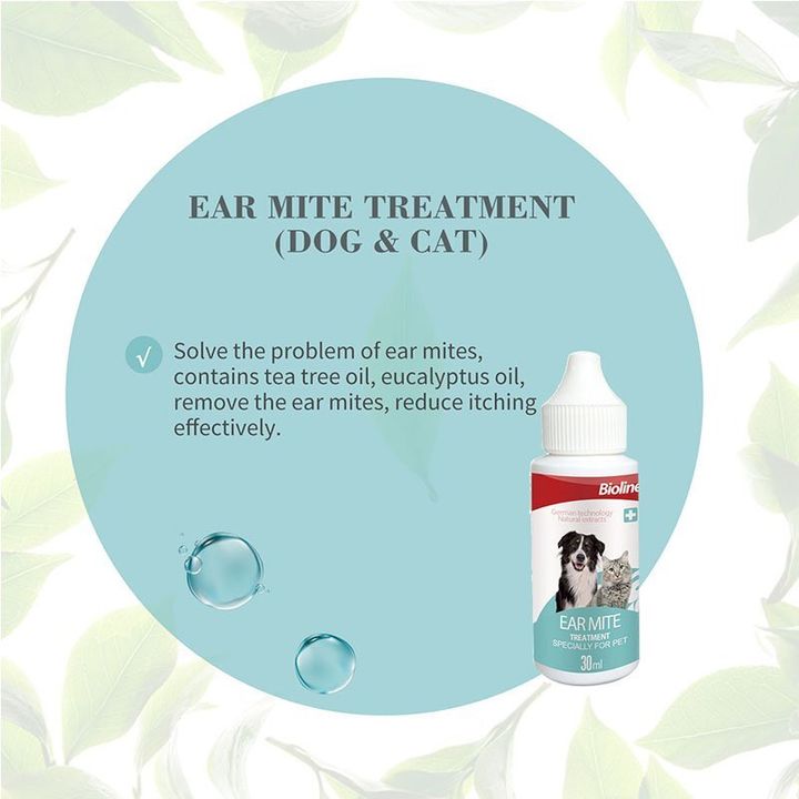 earmite treatment 1
