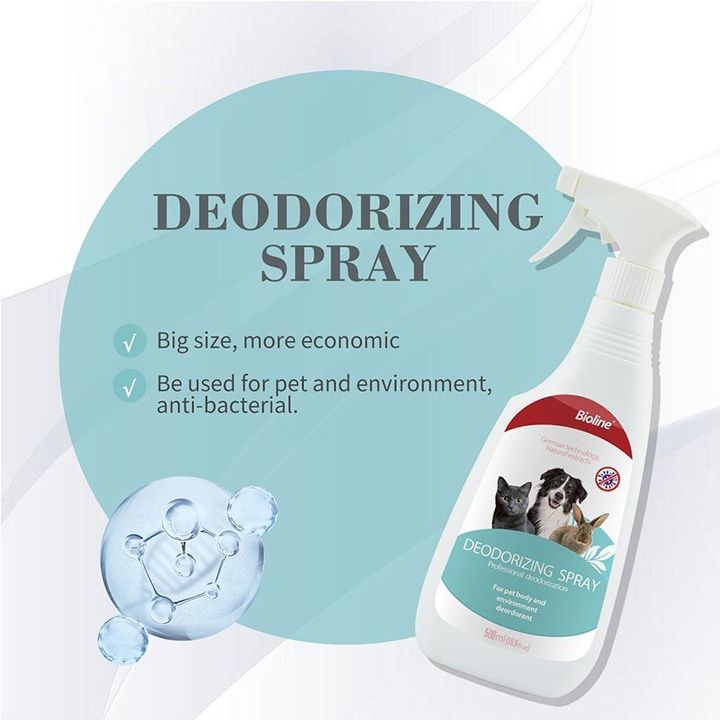 deo spray 1