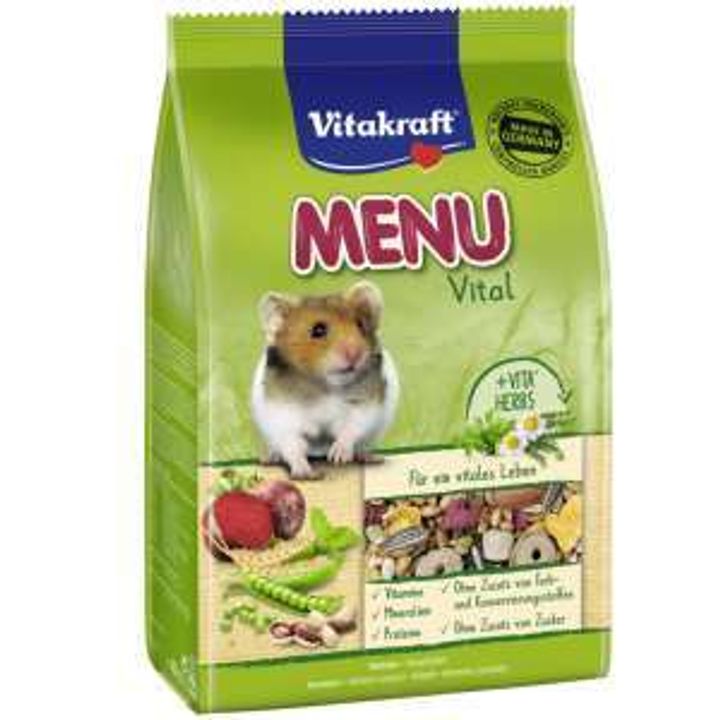 hamster