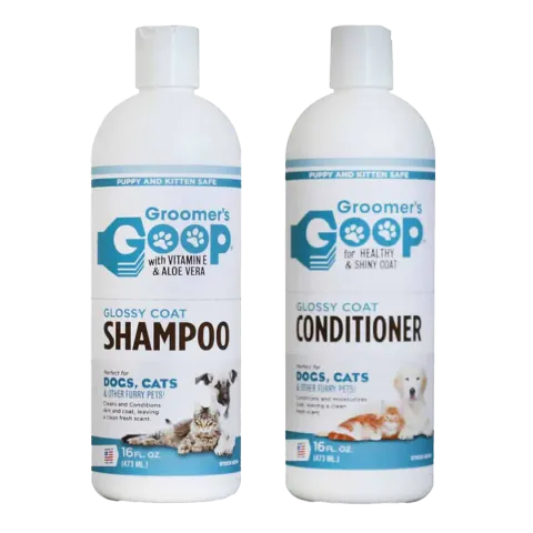 glossy shampoo cond