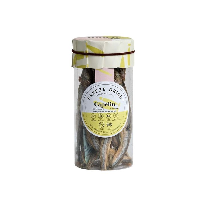 Capelin