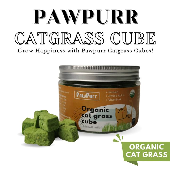 pawpur cat grass cube 2