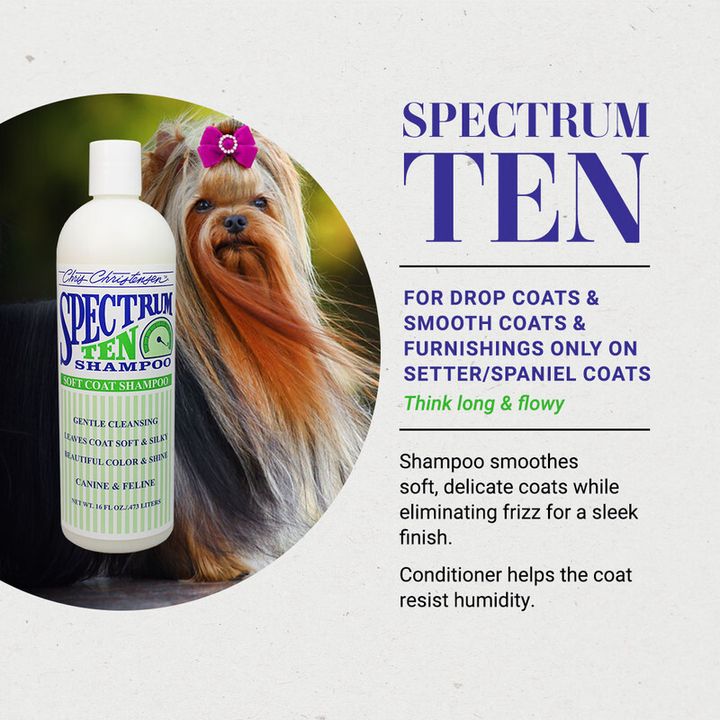 spectrum 10
