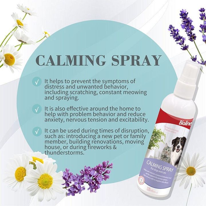 calming spray 2