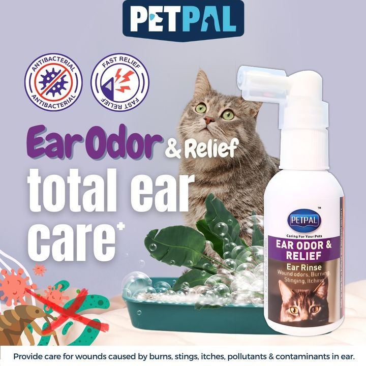 ear 1