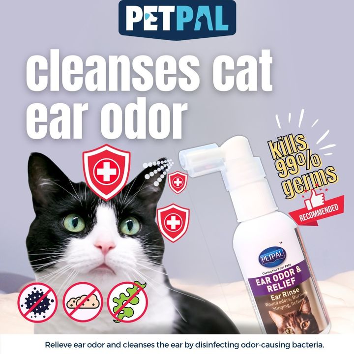 ear
