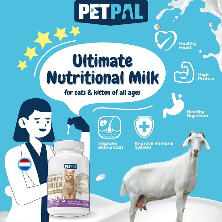 milk 2