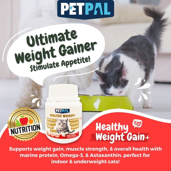 Healthy weight 3