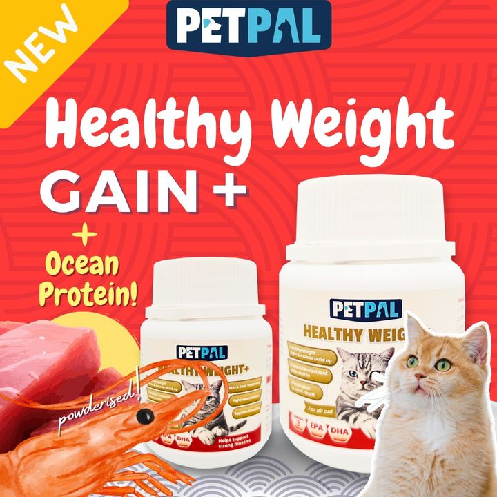Healthy weight 7