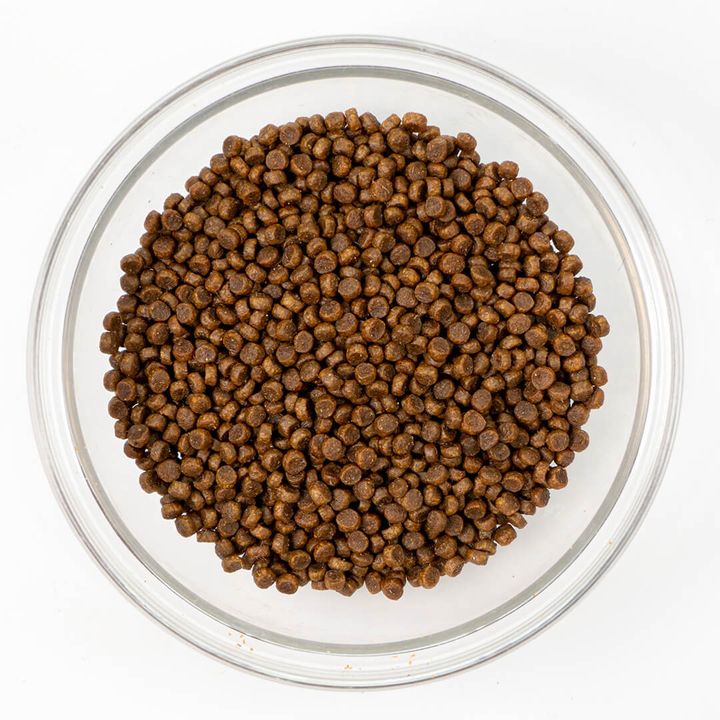 Loveabowl salmon 1