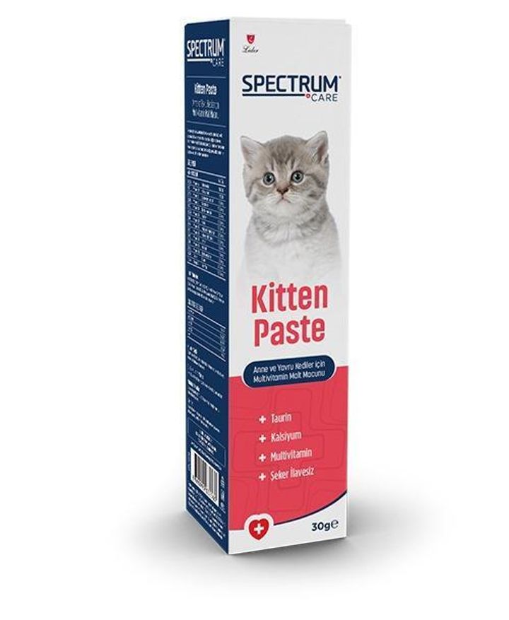 kitten paste