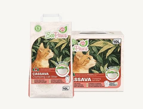 Cassava