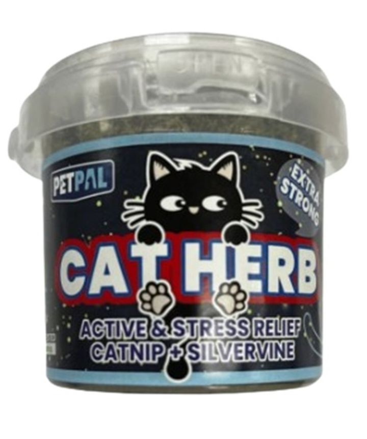 Cat herb silvervine