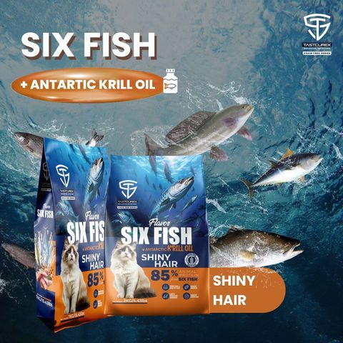 six fish