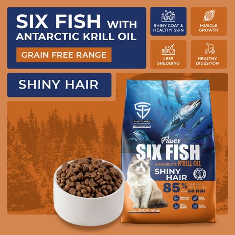 six fish 001