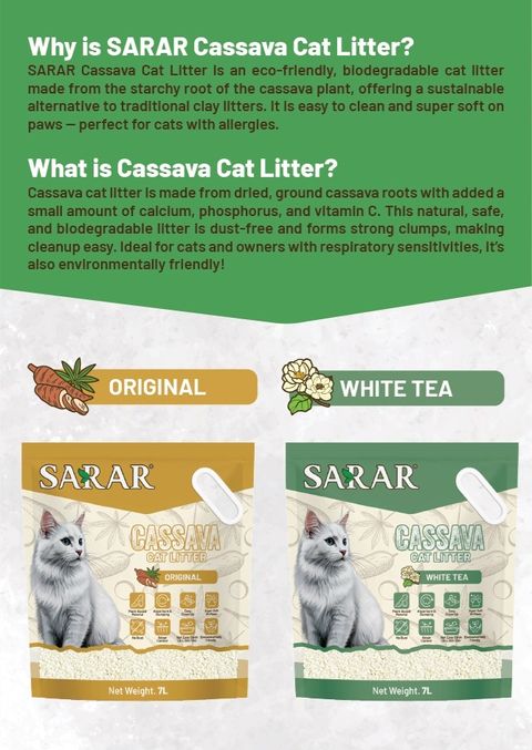 Sarar Cassava 001
