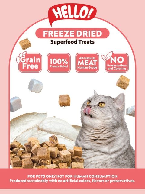 Hello Freeze Dried 001