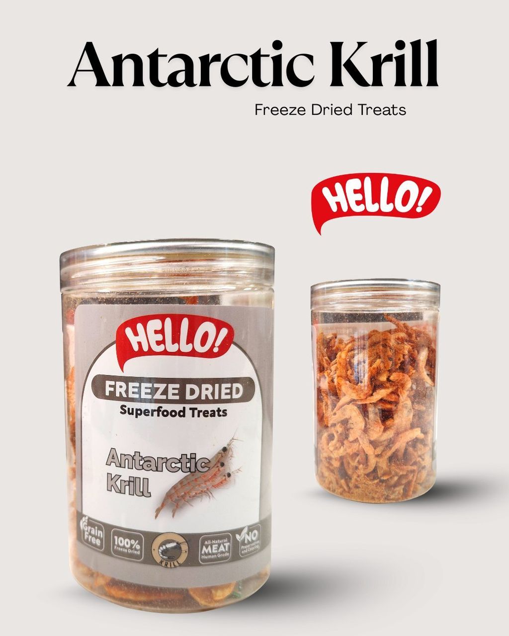 Antarctic krill