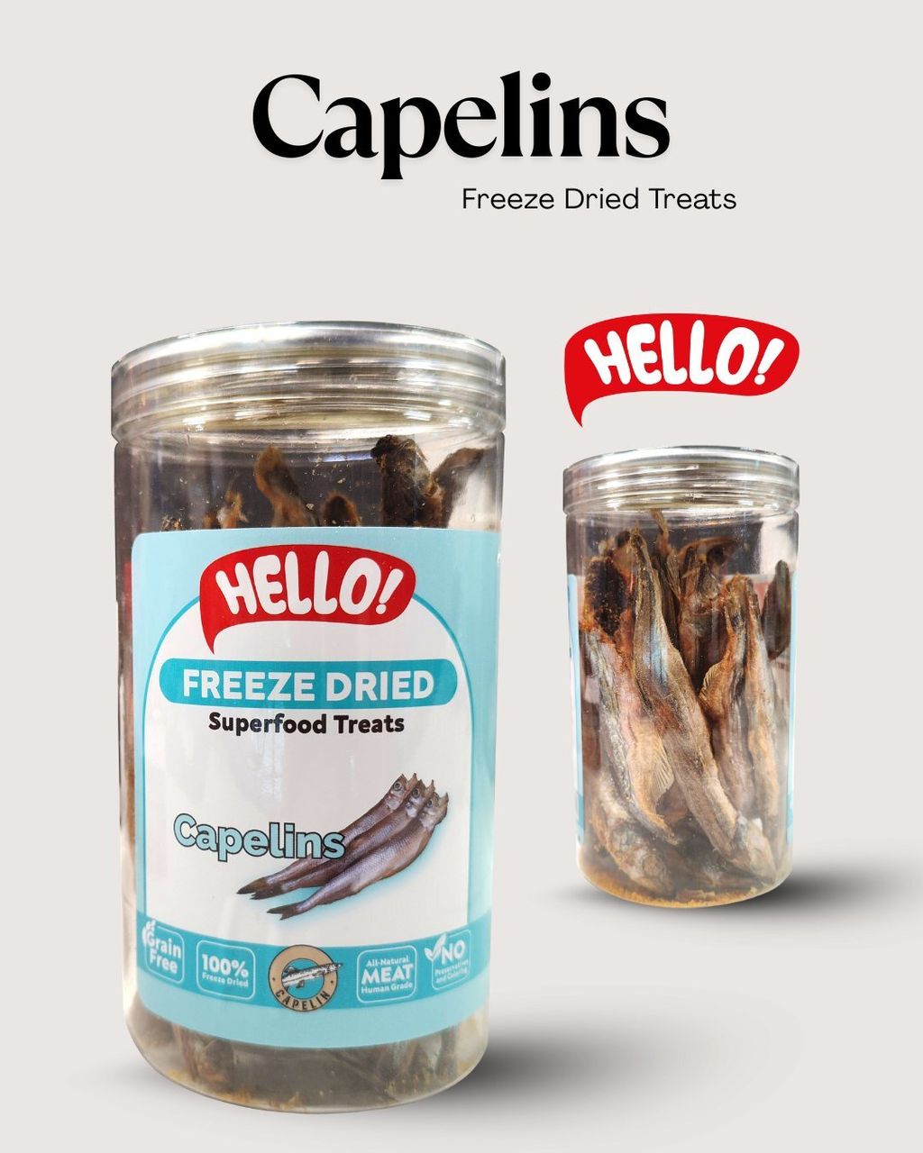 capelins