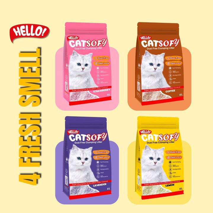 Hello catsofy