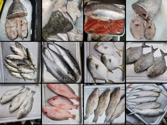 Soon Fruit & Vegetable Market | View All Our Fresh Products - Fresh Seafood & Chicken