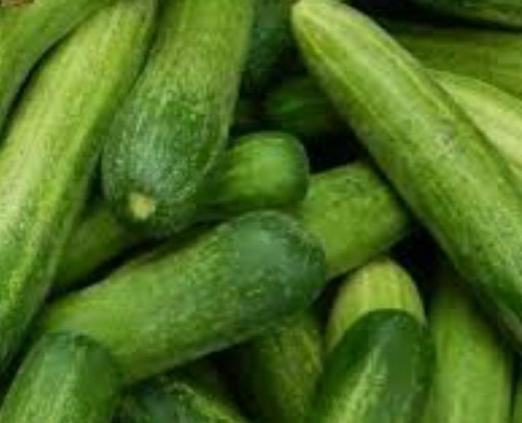 CUCUMBER.jpg