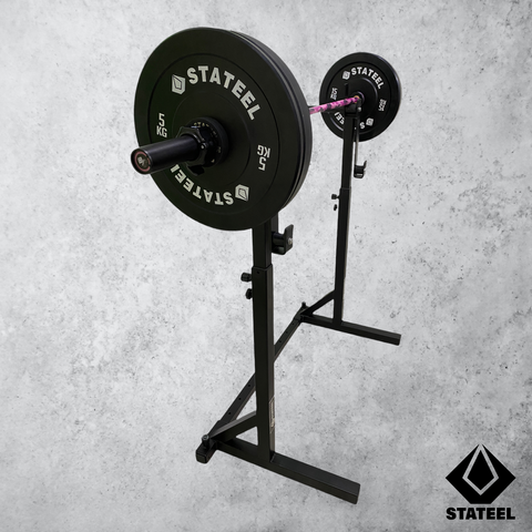 Camo Pink Rack Weights 1.PNG