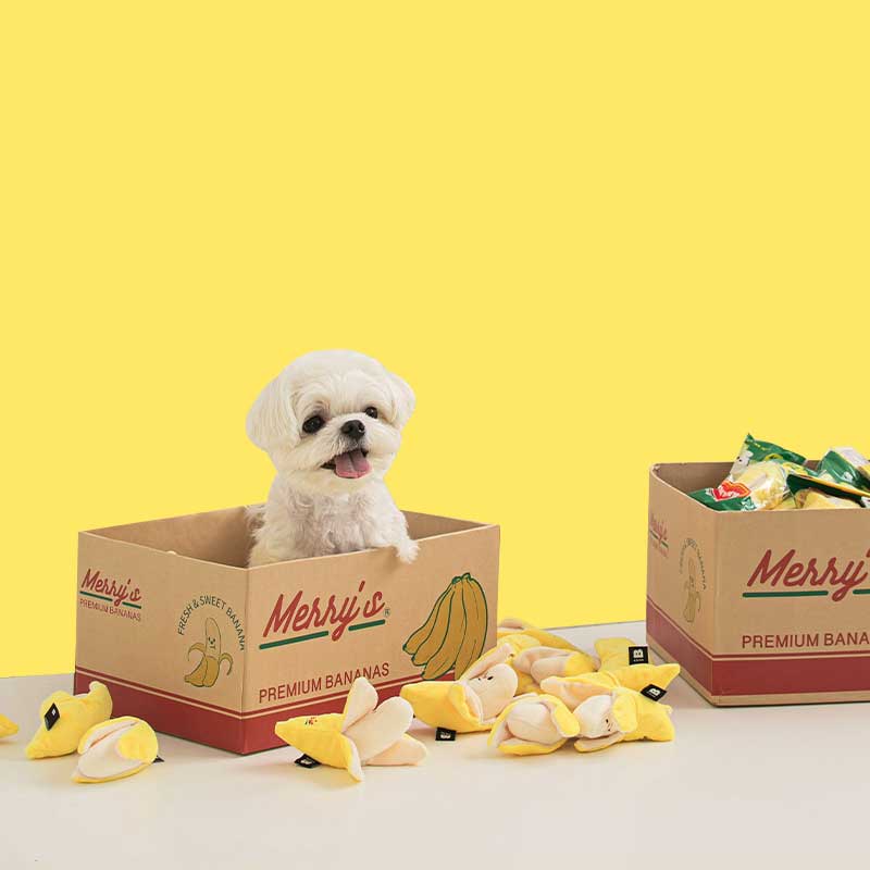 bite-me-merrys-banana-nose-work-dog-toy-638995_800x