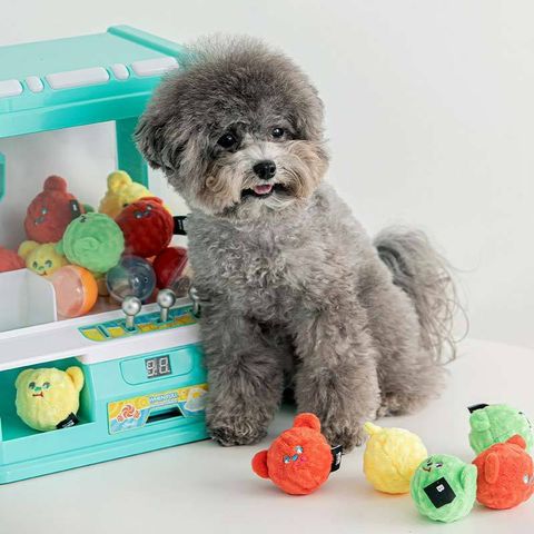bite-me-beardori-candy-ball-dog-toy-set-of-3-195308_800x