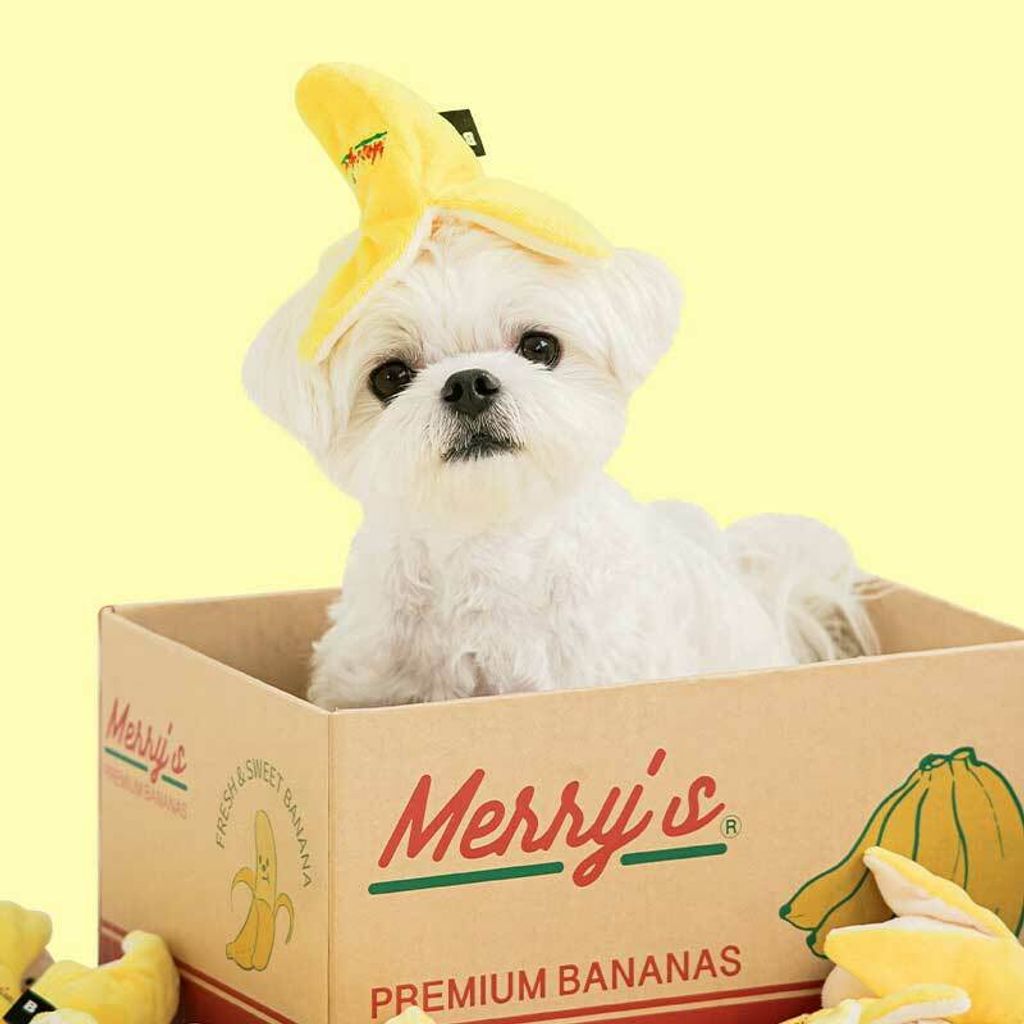 bite-me-merrys-banana-nose-work-dog-toy-780427_800x