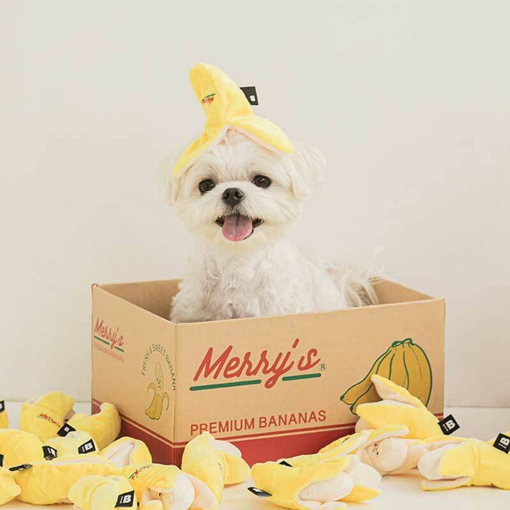 bite-me-merrys-banana-nose-work-dog-toy-713204_800x