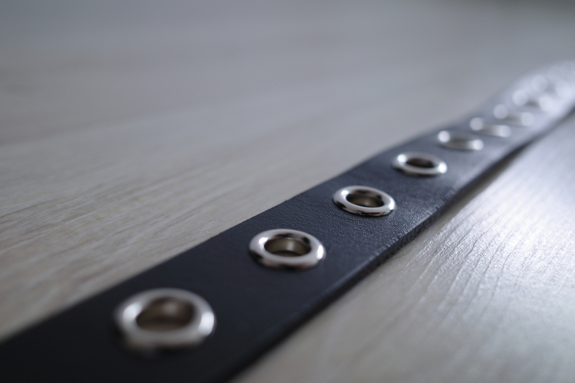 image_D58E8A16-F96C-4377-A569-2390D3D75290_1754439113