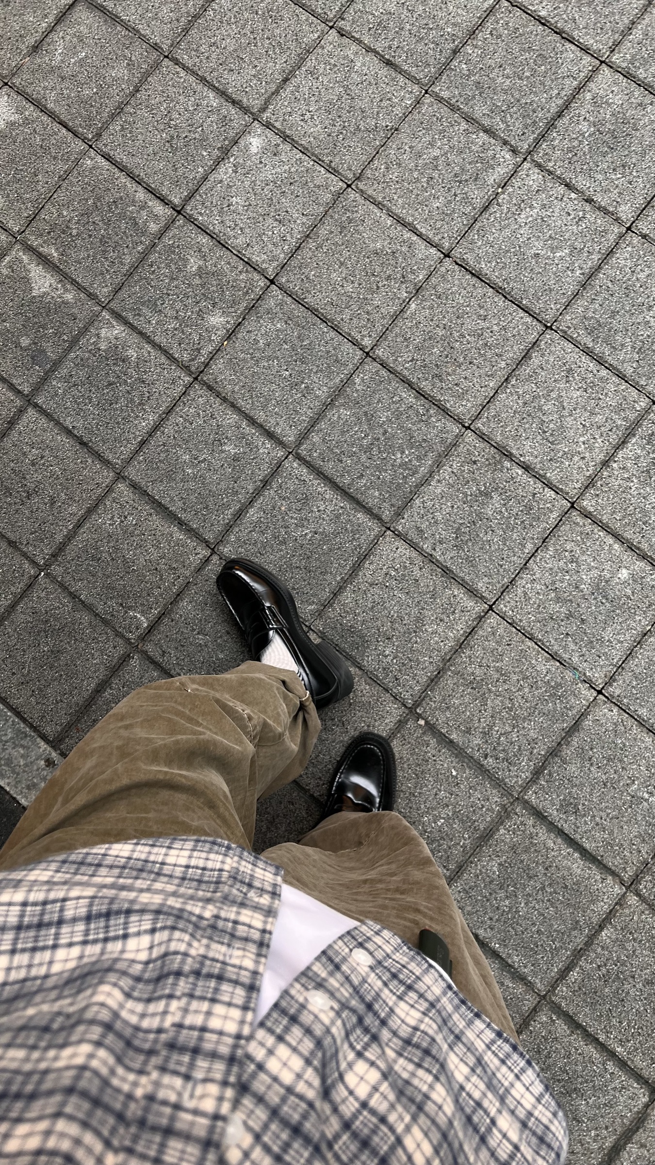 image_FF7B1263-94CB-4D04-B7DC-BEA793F34C56_1759438431