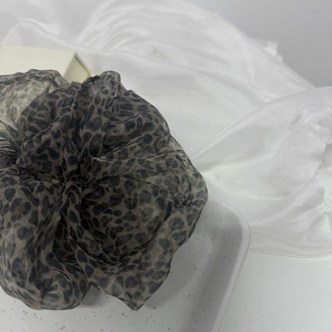 image_72F01133-7B90-435F-AA7B-80E9E7A2A205_1783601235