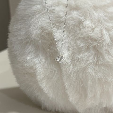 image_9A44D7B1-776E-4495-A129-B5502E345051_1768642689