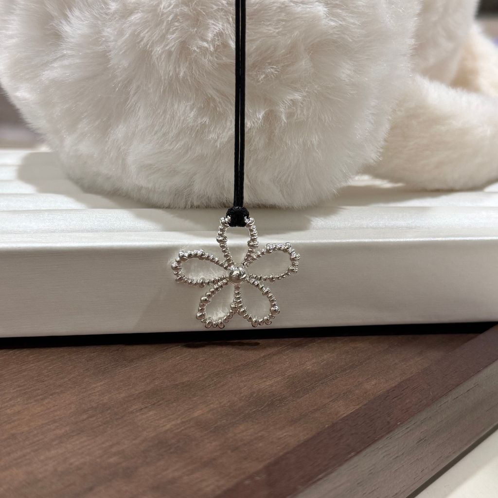 image_06CB6F2B-67BF-4A42-BF92-168CBEF87A6D_1769677898