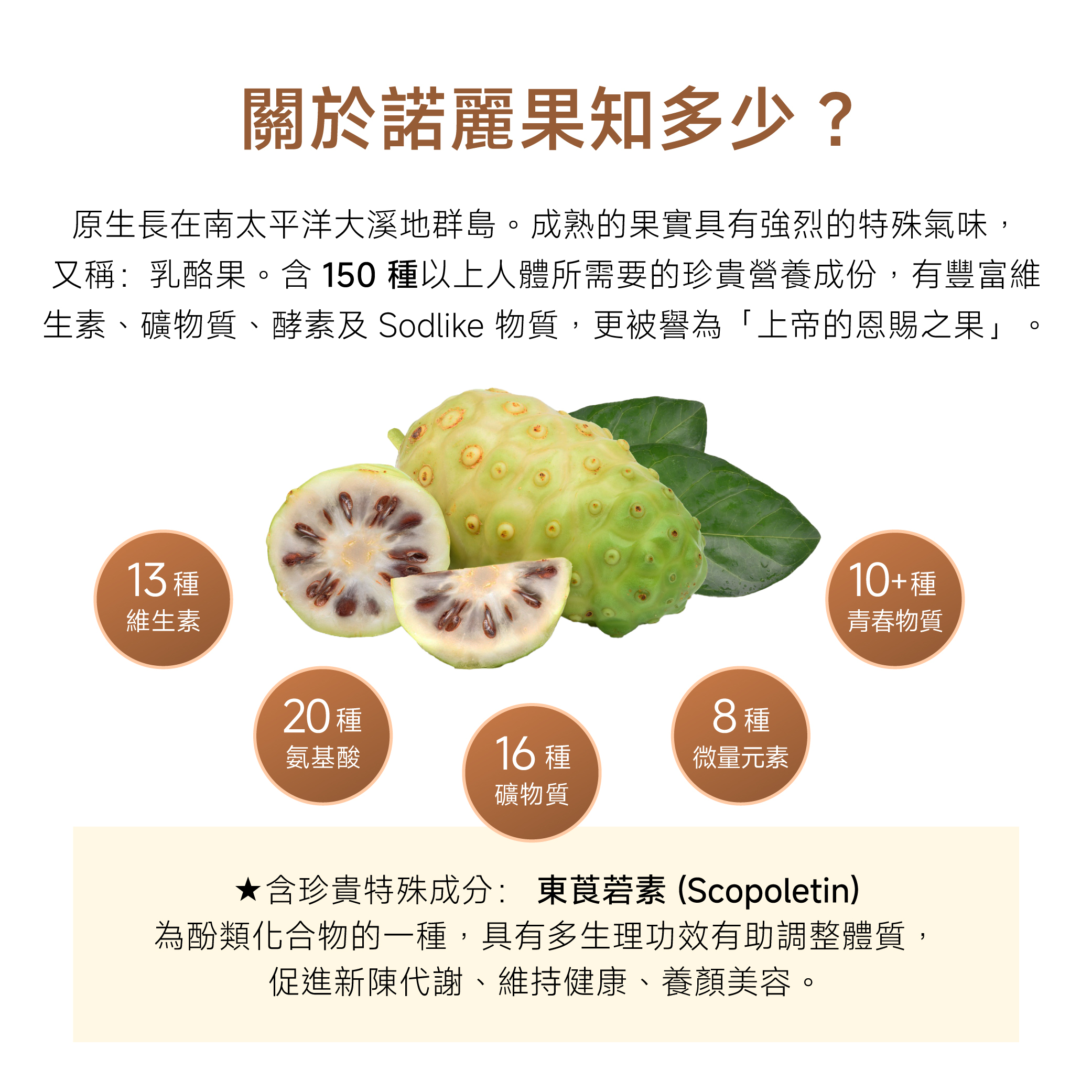 image_67635504-1AE1-4BF1-940D-B158E23380AA_1777350449