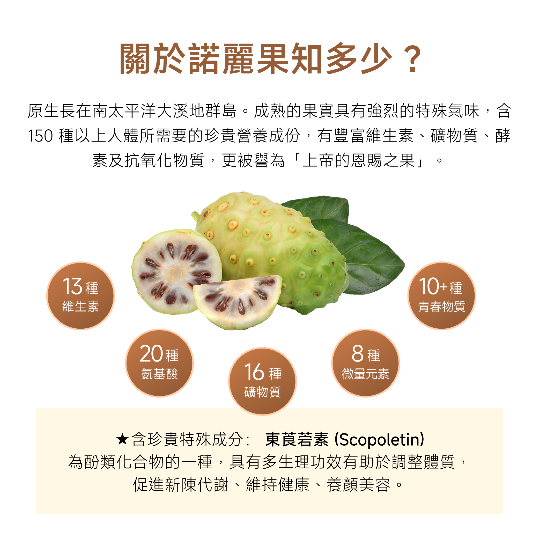 03_方形電商圖_04