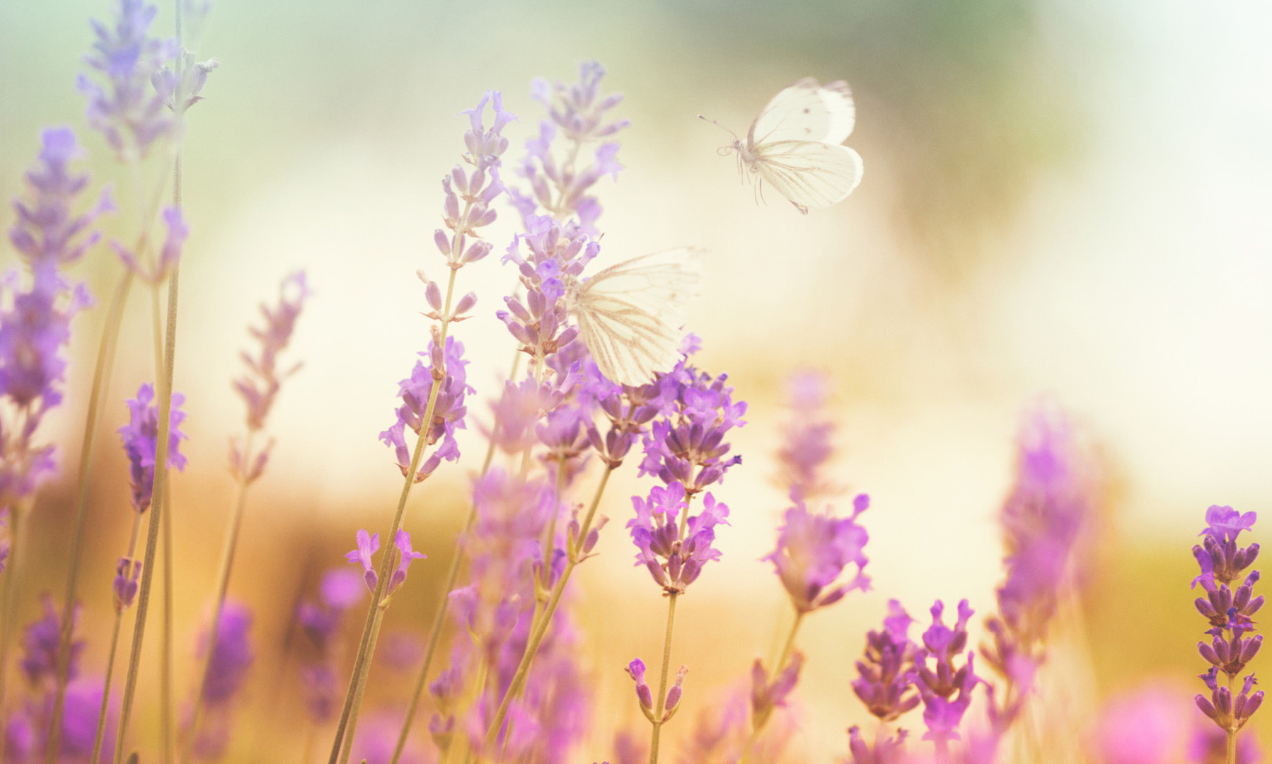 玹美學 VIO | 給您最好的