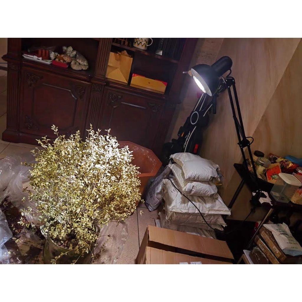 f3755a177d522a6d851e85fffc356e7b