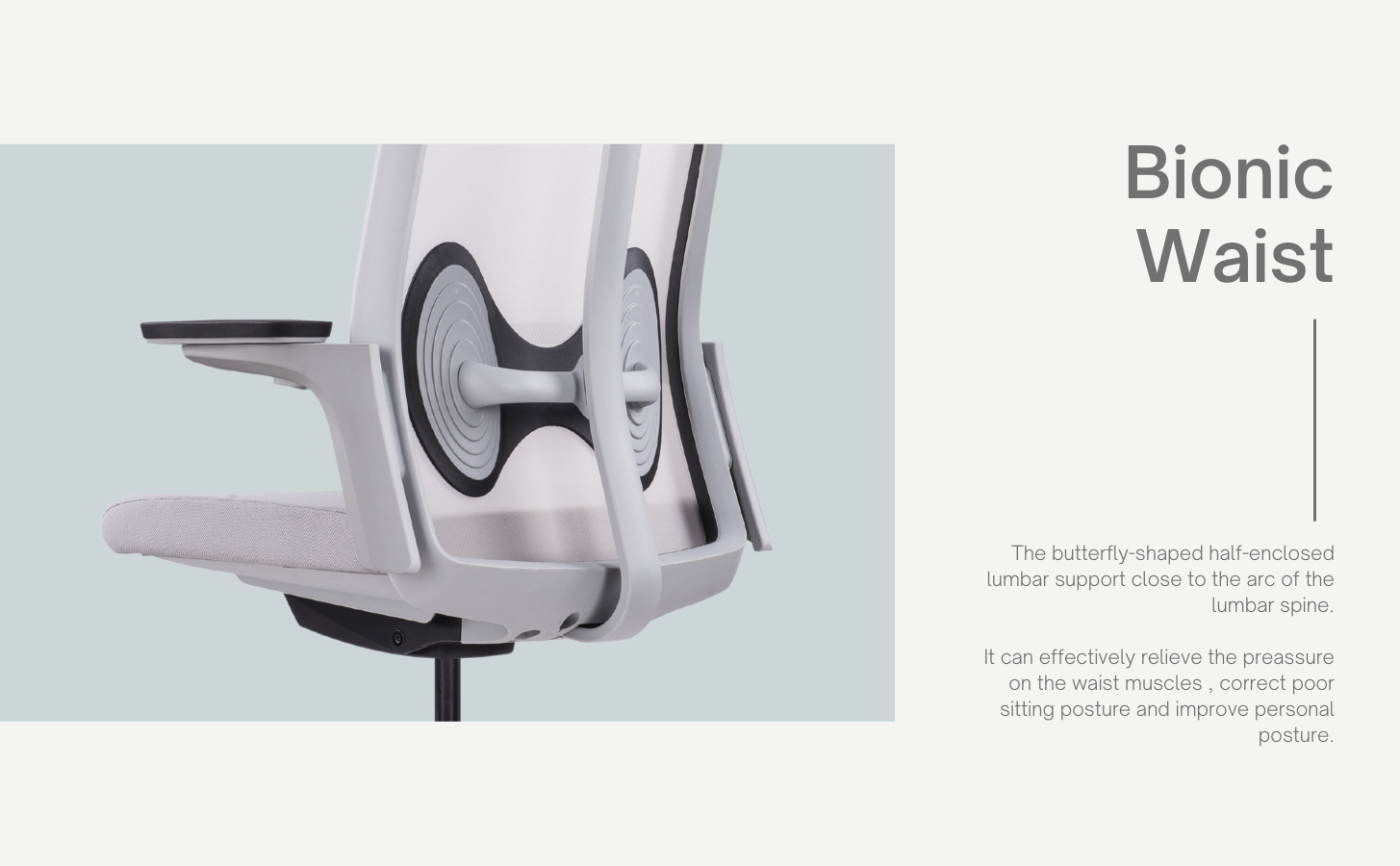 Butterfly Ergonomic Office Chair IMG 3