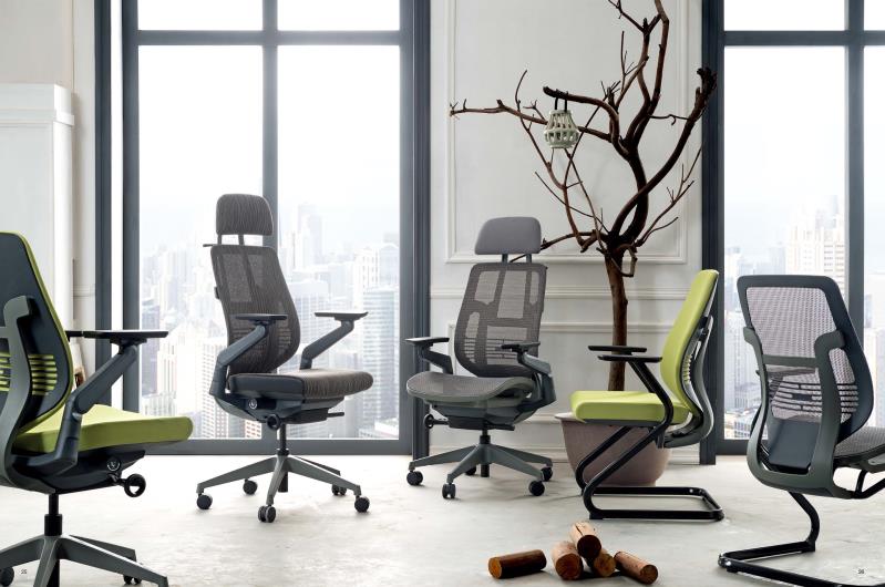 Sleek Ergonomic Office Chair IMG 1